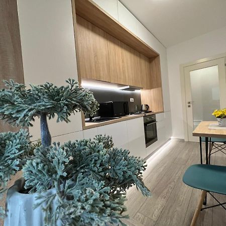 Perfect Host Palas Centru Leilighet Iasi Eksteriør bilde